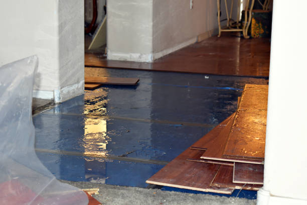 Professional Water Damage Restoration technician working in Westwood, CA